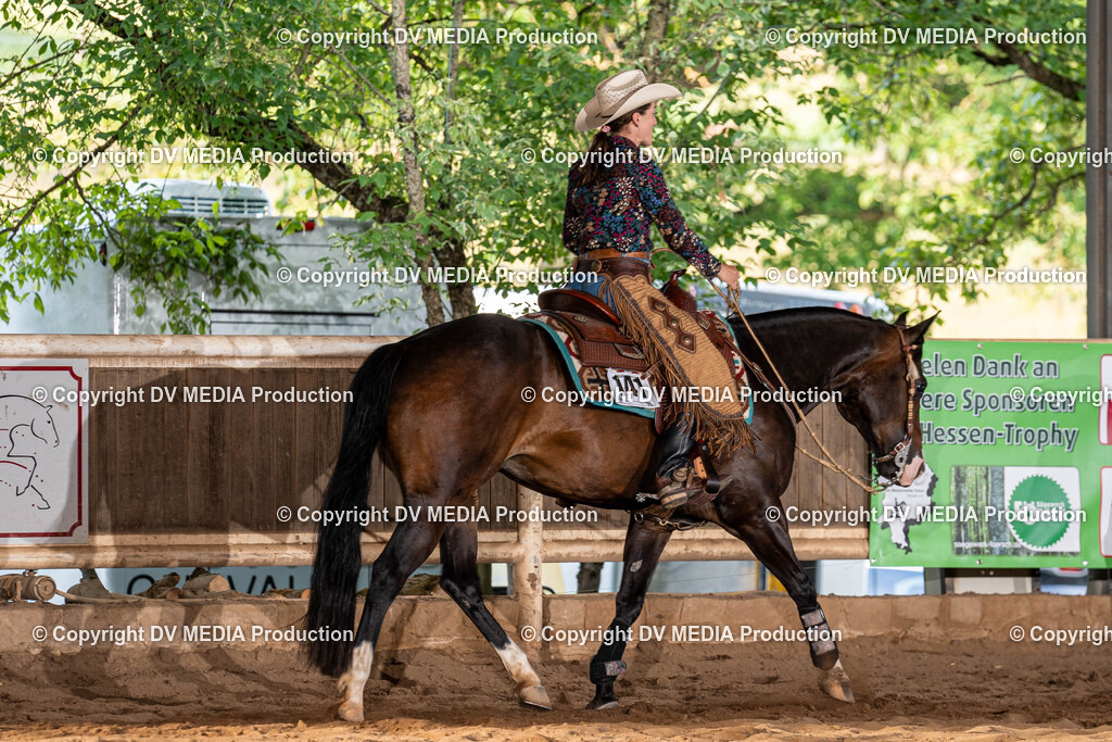 Erbach Tag 1-1127 | dv-media-shop - Realisiert mit Pictrs.com