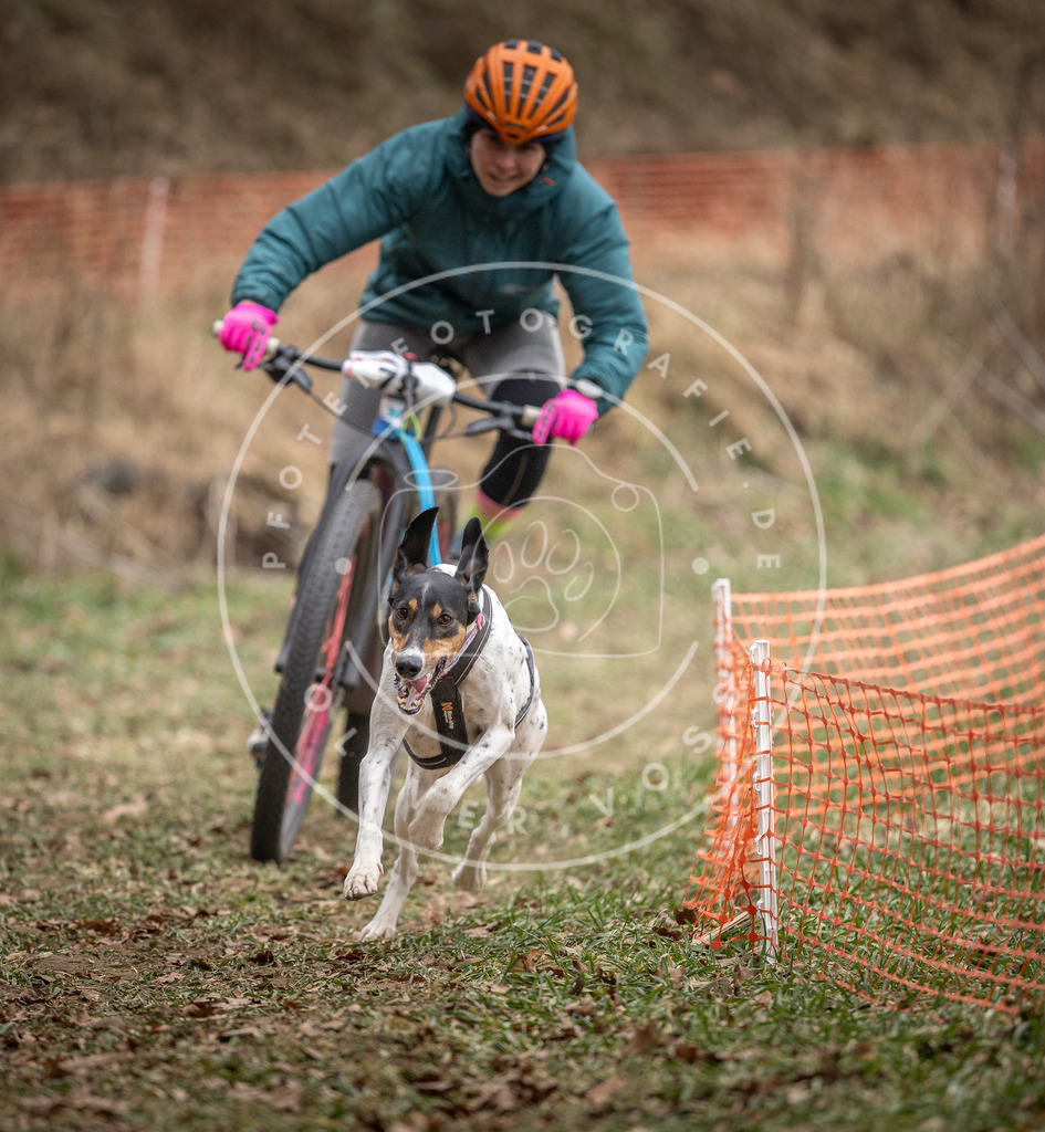 Pfotenfotografie_DV3A5069 | Hundefotografie, Tierfotograf, Pfotenfotografie, Fotoshooting Hund, Hunde Portrait, Hundesport, Hundeportraits, Heideshooting, Hunde, Sportfotograf, Hundefotograf, Turnierhundsport, THS,  - Realisiert mit Pictrs.com