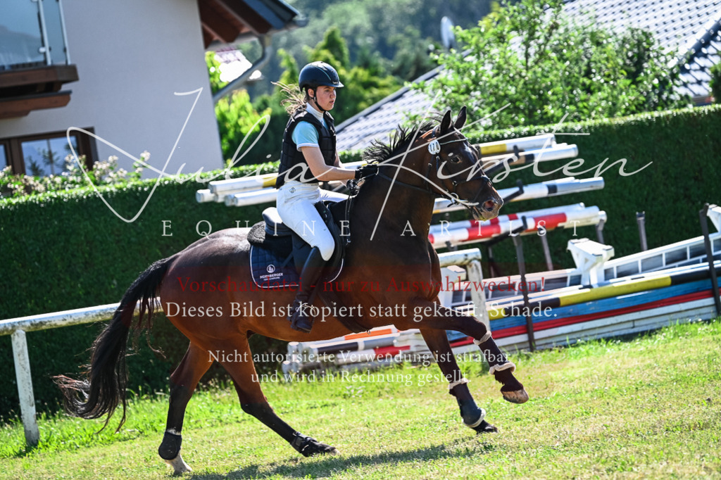 DSC_1482 | Pferde- und Turnierfotografie in Westsachsen. Pferdeportraits, Auftragszeichnungen und intuitive Kunst.