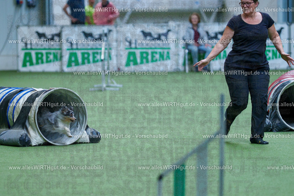 @allesWIRTHgut_Tierfotografie - www.allesWIRTHgut.de - 2604251529-7R506050 | Professionelle Tierfotografie in Mönchengladbach von Daniel Wirth (allesWIRTHgut). Liebevolle & natürliche Bilder von Hunden & Katzen für unvergessliche Erinnerungen.