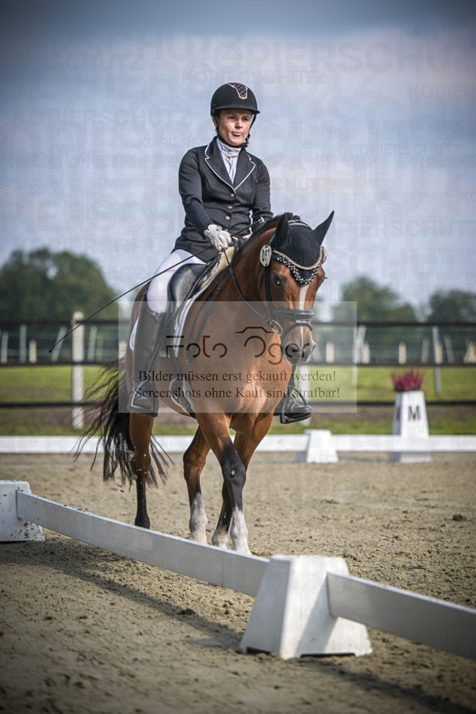 DOS_B746 | Entdecke hochwertige Reitturnierfotos von Foto Oger. Professionell, emotional und authentisch – jetzt Lieblingsmomente im Shop bestellen.Deutschlandweite Turnierfotografie. - Realisiert mit Pictrs.com