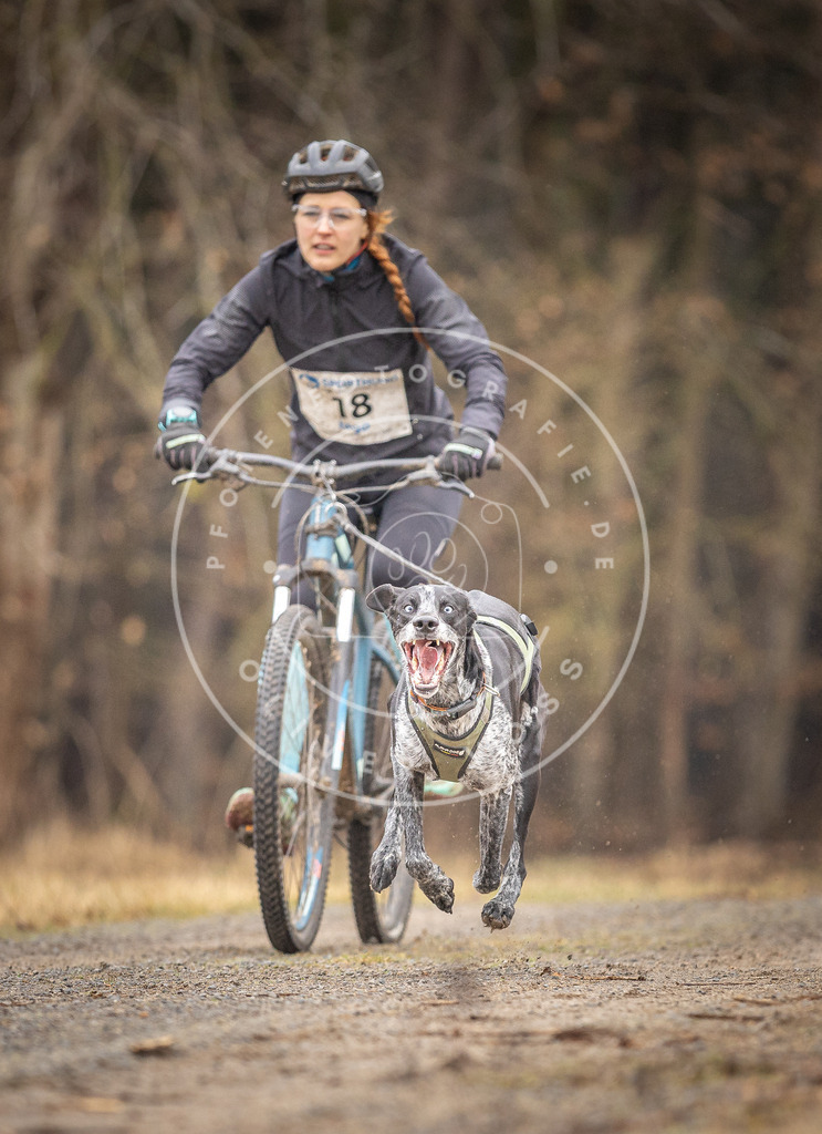 DV3A3210 | Hundefotografie, Tierfotograf, Pfotenfotografie, Fotoshooting Hund, Hunde Portrait, Hundesport, Hundeportraits, Heideshooting, Hunde, Sportfotograf, Hundefotograf, Turnierhundsport, THS,  - Realisiert mit Pictrs.com