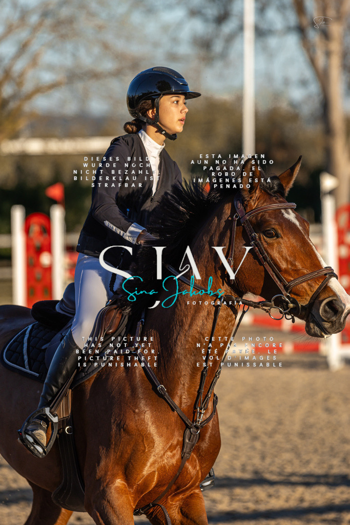 IMG_2881 | s-jay-photography - Realisiert mit Pictrs.com