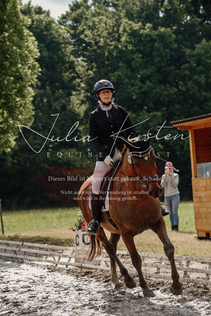 DSC_8897 | Pferde- und Turnierfotografie in Westsachsen. Pferdeportraits, Auftragszeichnungen und intuitive Kunst.
