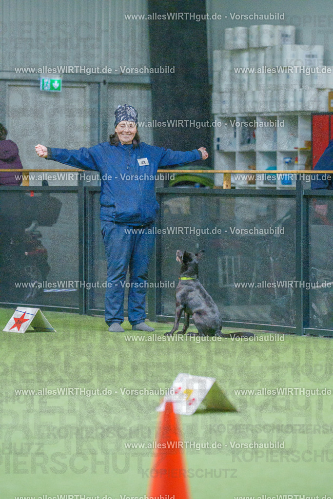 7R501240 | Professionelle Tierfotografie in Mönchengladbach von Daniel Wirth (allesWIRTHgut). Liebevolle & natürliche Bilder von Hunden & Katzen für unvergessliche Erinnerungen.