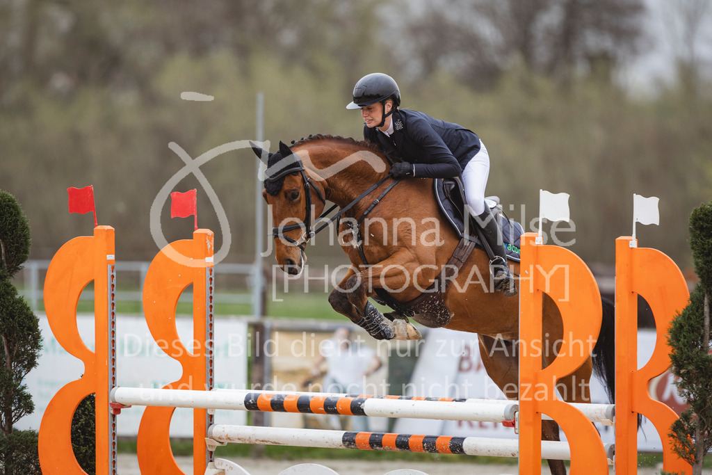 240330_Fruehlingsfest_Stil-A2-2-734 | Deine schönsten Turniermomente als professionelle Fotos! Entdecke hochwertige Pferdesport-Fotografie im Online-Shop. Jetzt Fotos finden & bestellen!