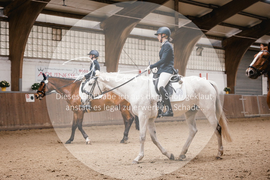 3I6A7312 | Stimmungsvolle Portraits und Reitsportfotografie im Ruhrgebiet und im Münsterland.

Pferdefotografie, Hundefotografie, Tierfotografie, Reportagen, Portraits von Tier und Mensch, Turnierfotografie in Bochum, Recklinghausen, Marl, Haltern am See, Dülmen.. - Realisiert mit Pictrs.com