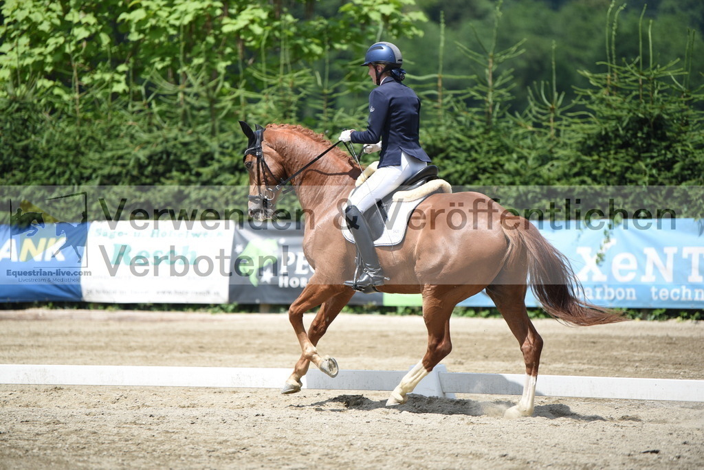 DSC_9354 | equestrian-live-com
