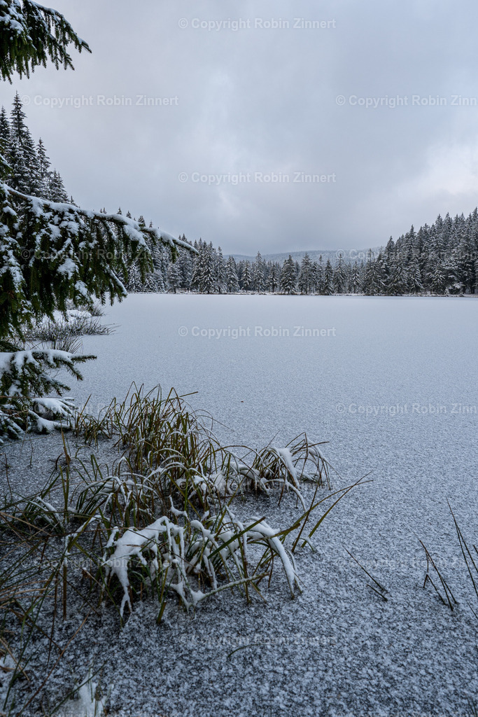 Fichtelsee_Winter00007 | Robin Zinnert - Realisiert mit Pictrs.com