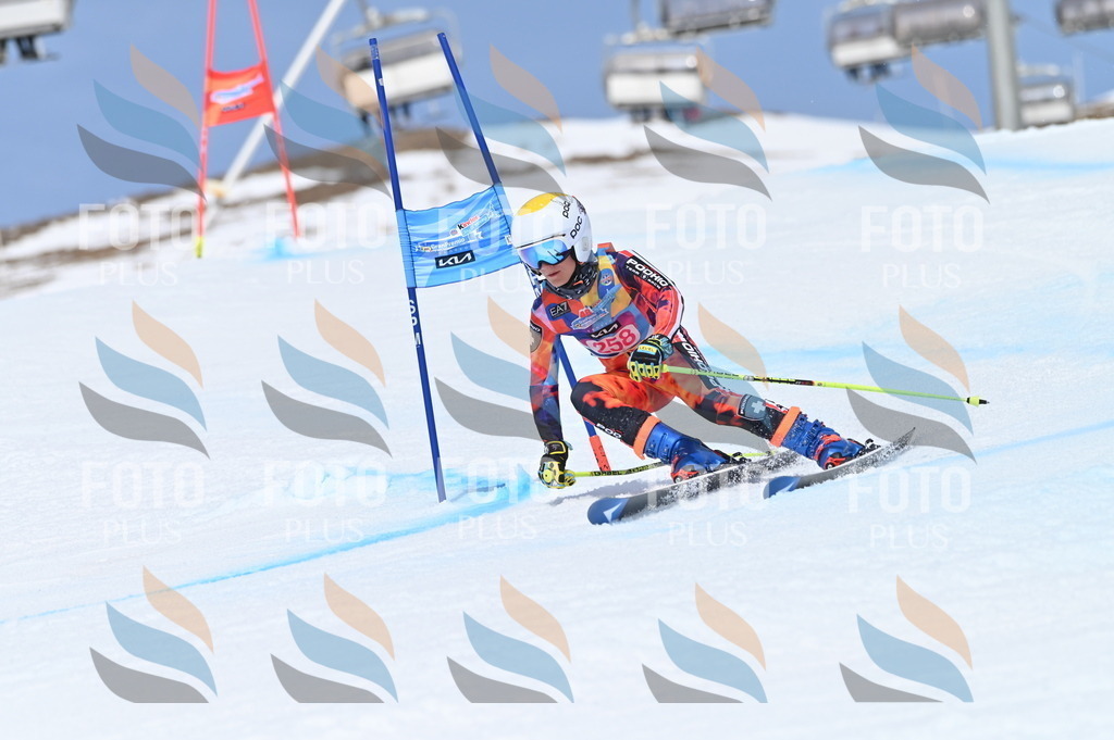 BGV_2035 | holidayphoto