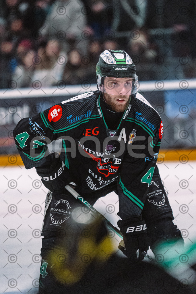 Alligators_vs_Selb_27_02_2026-12 | Höchstadt Alligators Fotogalerie: Eishockey-Action aus Franken. Professionelle Spielfotos, Portraits & Stadionbilder zum Download. Jetzt entdecken! - Realisiert mit Pictrs.com