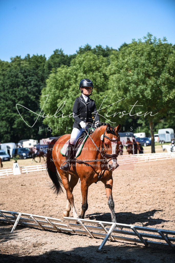 DSC_3448 | Pferde- und Turnierfotografie in Westsachsen. Pferdeportraits, Auftragszeichnungen und intuitive Kunst.
