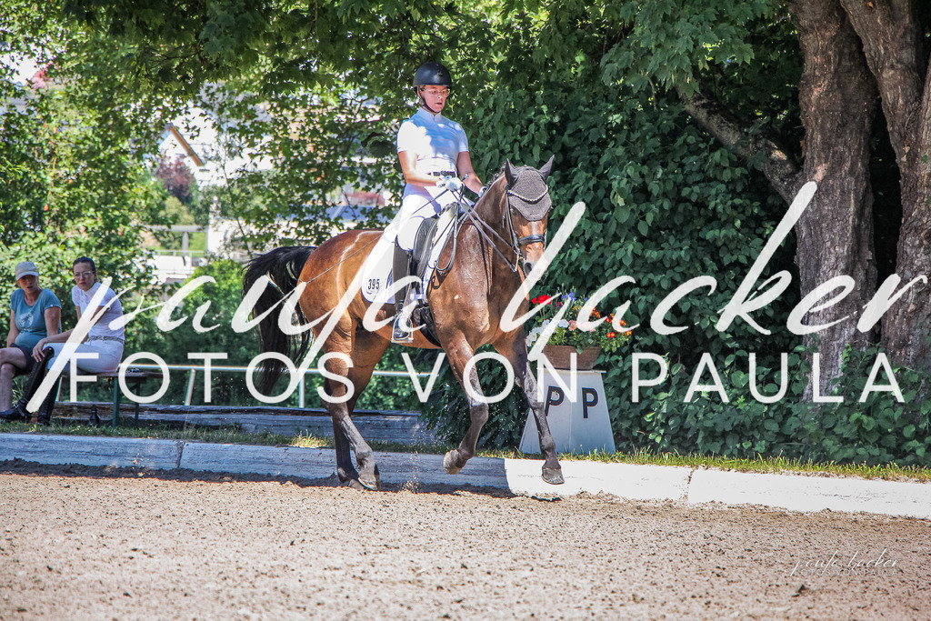 IMG_0536 | Erleben Sie dynamische Sport- und emotionale Tierfotografie in Süddeutschland mit Fotos von Paula. Spezialisiert auf Pferde- und Hundefotografie sowie Sportevents. Kontaktieren Sie mich für einzigartige und ausdrucksstarke Bilder Ihrer besonderen Momente. - Realisiert mit Pictrs.com