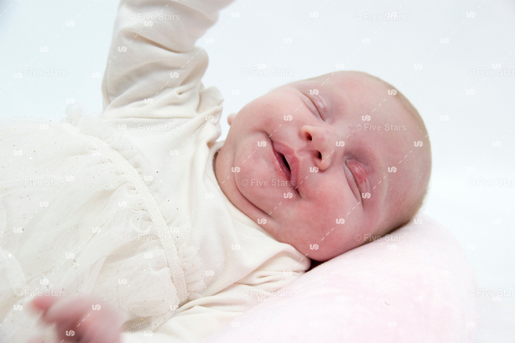 IMG_0834 | Five Stars Fotografie und Videografie fängt Ihre besonderen Momente mit atemberaubenden Bildern und hochwertigen Videos ein. Perfekt für Hochzeiten, Events und mehr – lassen Sie sich von unserer Expertise und Kreativität begeistern.