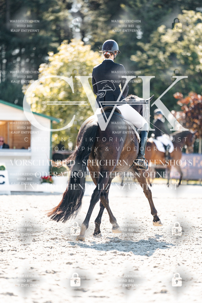 CK905551 | Turnierfotografie Pferdefotografie Trier Rheinland-Pfalz Pferdesport Reitsport Tierfotografie Sportfotografie Pferdevideo Pferdevideografie Equestrianvideography equestrianphotography  - Realisiert mit Pictrs.com