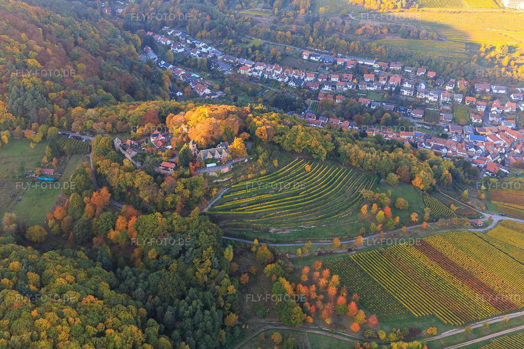 Luftbild: Schloss Kropsburg in Herbstfarben von Süden im Ortsteil SaintMartin in Sankt Martin im Bundesland Rheinland-Pfalz in Deutschland.Foto: IMG_095649.jpg vom 30.10.2016 durch Werner Riehm/FLY-FOTO.deHier entsteht eine neueÜber uns - burgschaenke-kropsburgs Webseite!