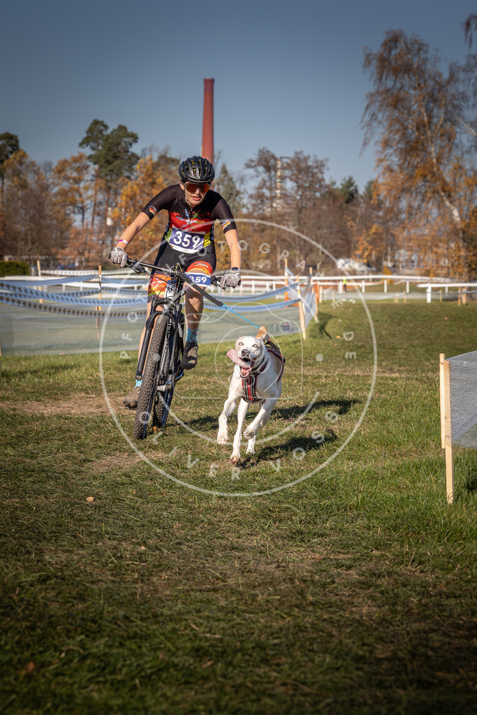 CaniXpix_0L8A6192 | Hundefotografie, Tierfotograf, Pfotenfotografie, Fotoshooting Hund, Hunde Portrait, Hundesport, Hundeportraits, Heideshooting, Hunde, Sportfotograf, Hundefotograf, Turnierhundsport, THS,  - Realisiert mit Pictrs.com