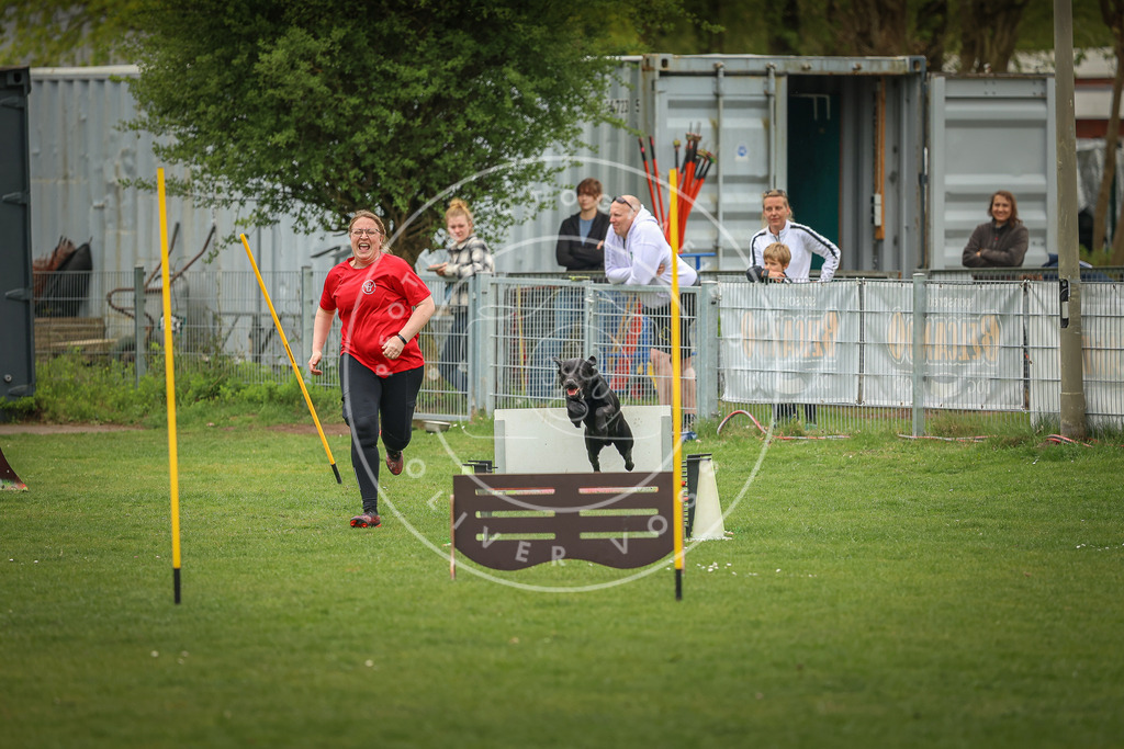 Pfotenfotografie_0L8A1819 | Hundefotografie, Tierfotograf, Pfotenfotografie, Fotoshooting Hund, Hunde Portrait, Hundesport, Hundeportraits, Heideshooting, Hunde, Sportfotograf, Hundefotograf, Turnierhundsport, THS,  - Realisiert mit Pictrs.com