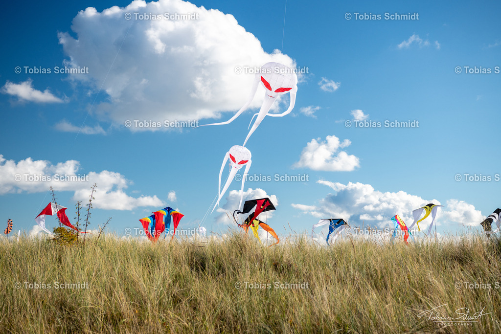 Fehmarn__DSC0060 | Fotoprodukte, Kalender und Wanddeko direkt vom Fotografen auf Fehmarn. Ob Wandbild auf Alu-Dibond, hinter Acrylglas oder auf Leinwand – hier können Sie Ihr Lieblingsbild kaufen. - Realisiert mit Pictrs.com