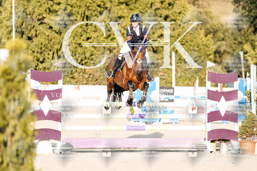 CK900672 | Turnierfotografie Pferdefotografie Trier Rheinland-Pfalz Pferdesport Reitsport Tierfotografie Sportfotografie Pferdevideo Pferdevideografie Equestrianvideography equestrianphotography  - Realisiert mit Pictrs.com