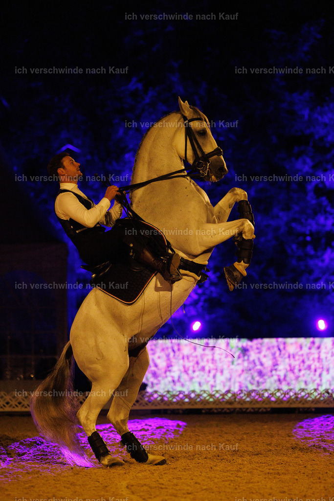 FHClassics-326 | working equitationturnier fotograf videograf stoibphotography marixx film working equitation deutschland reitsport turnierfotografie eventfotografie equestrian events