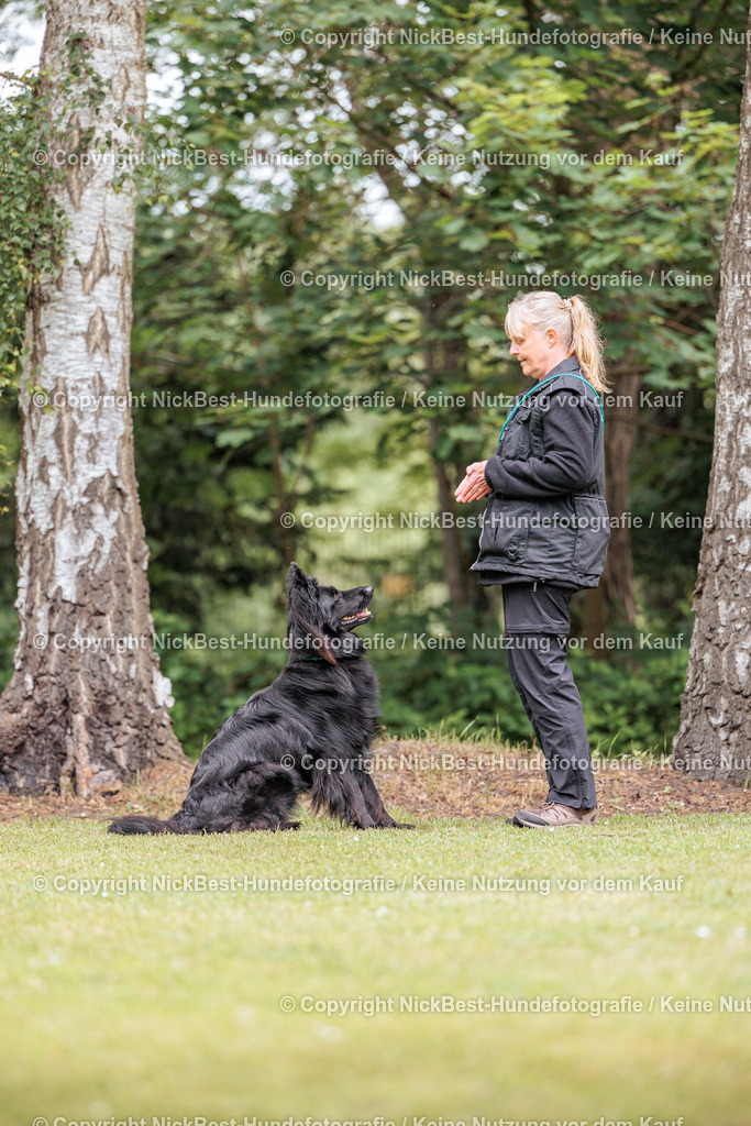 RO-Blumenthal-2026-Nickbest-Hundefotografie-3249 | Dein Hund! Dein Moment! Deine Erinnerungen! Hundefotografie in Bremen Blumenthal. Ich fange die besonderen Momente deines Vierbeiners ein – ob Indoor mit Blitzanlage oder in der freien Natur. Sicher dir dein Moment und dein Termin für eure Erinnerungen.