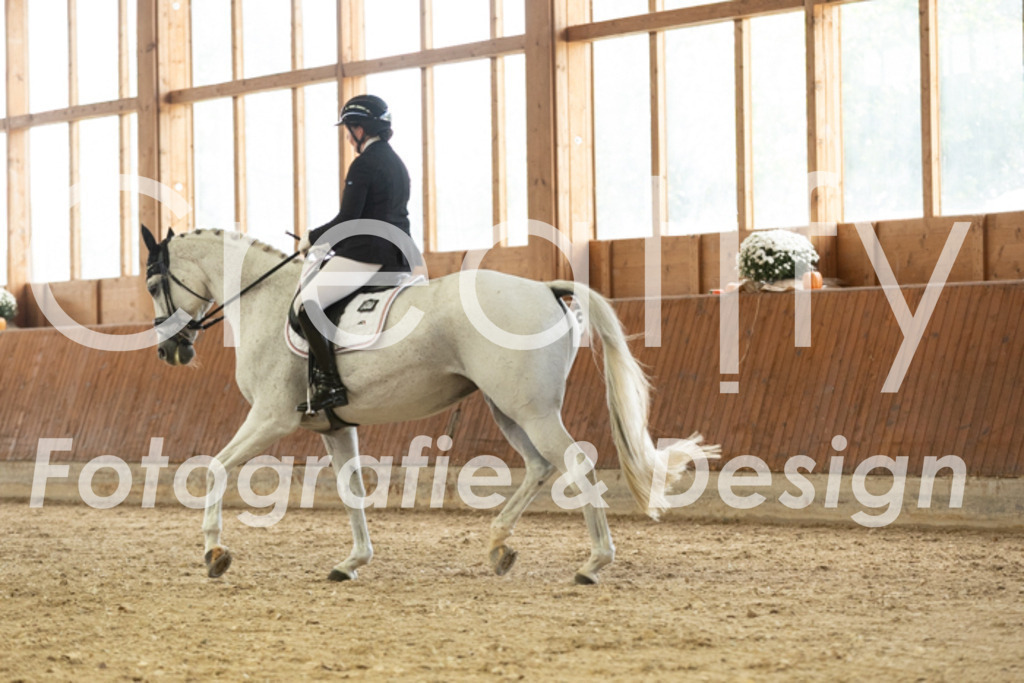 IMG_3064 | Creatify Fotografie