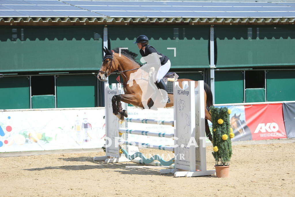 DL2Q9468 | Willkommen bei Brunnmayr - Design & Fotografie – Ihrem Spezialisten für Reitturniere und Pferdeveranstaltungen in Oberösterreich, Salzburg und Bayern! Seit über 17 Jahren sind wir leidenschaftlich dabei.