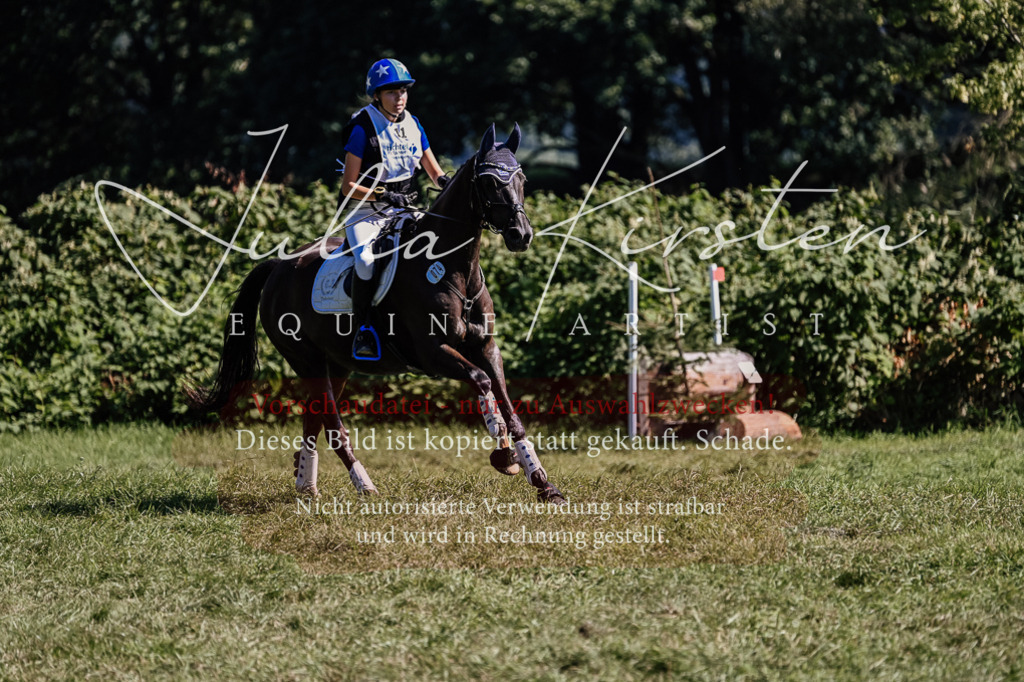 DSC_1705 | Pferde- und Turnierfotografie in Westsachsen. Pferdeportraits, Auftragszeichnungen und intuitive Kunst.