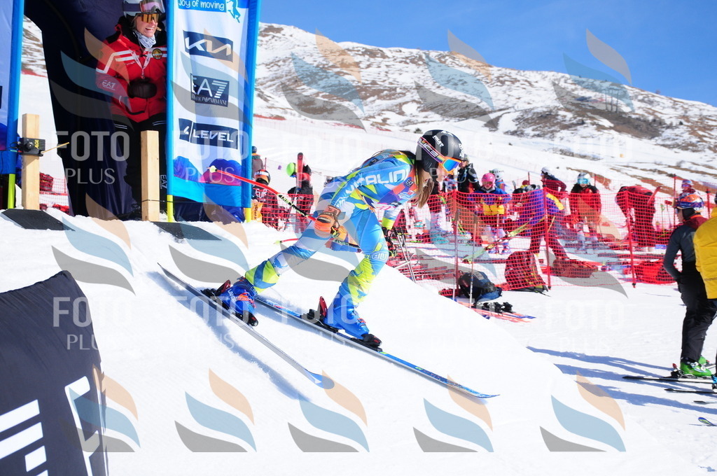 DSC_3698 | holidayphoto