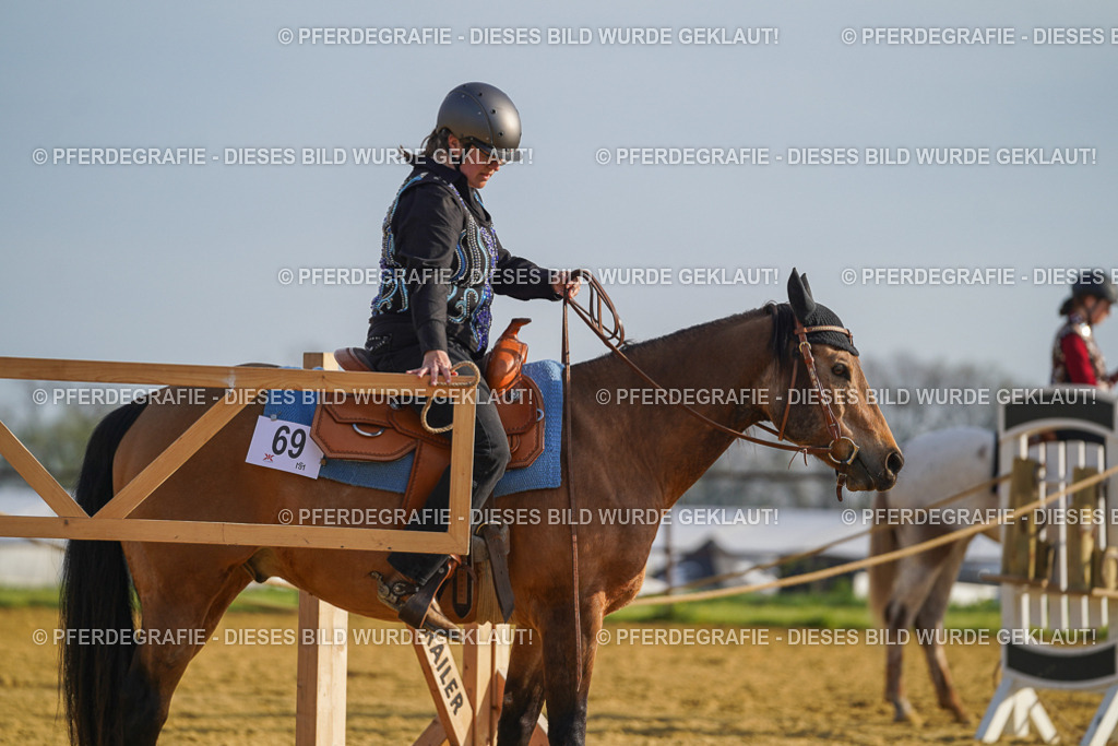 DSC00671 | Pferdegrafie