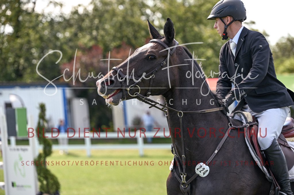 Schugtsche-Düren.2024-10.Springprf.M_-12 | Schugtsche Fotografie - Realisiert mit Pictrs.com