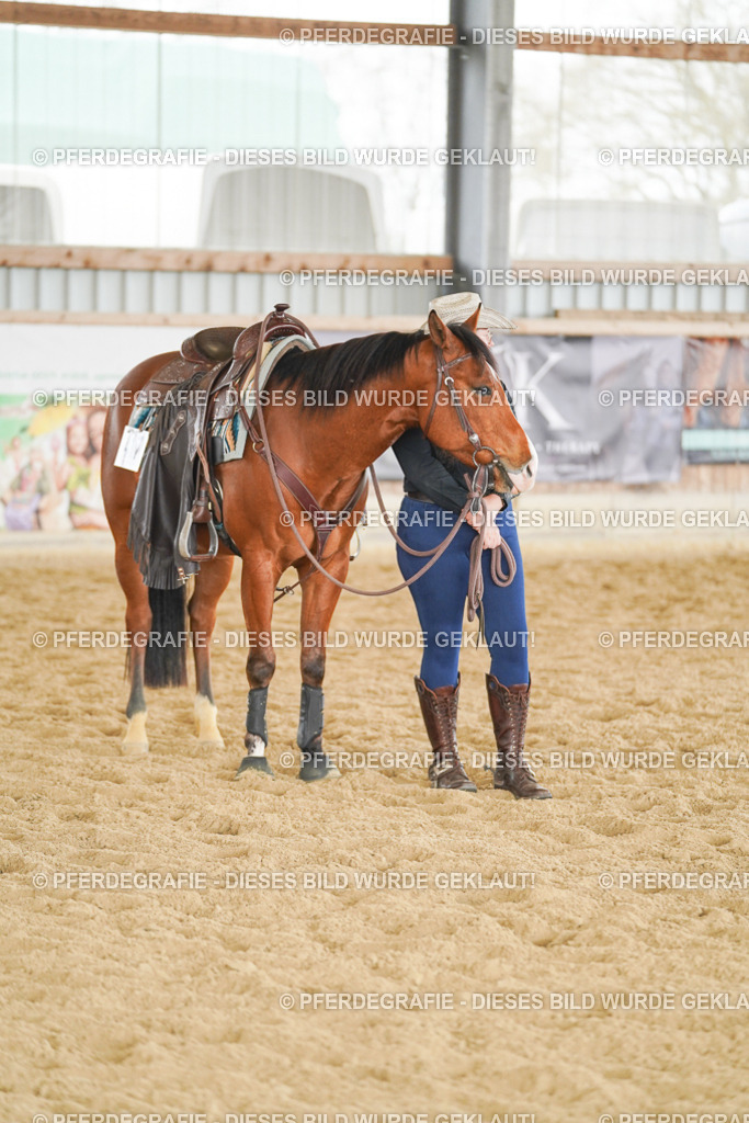 DSC06439 | Pferdegrafie