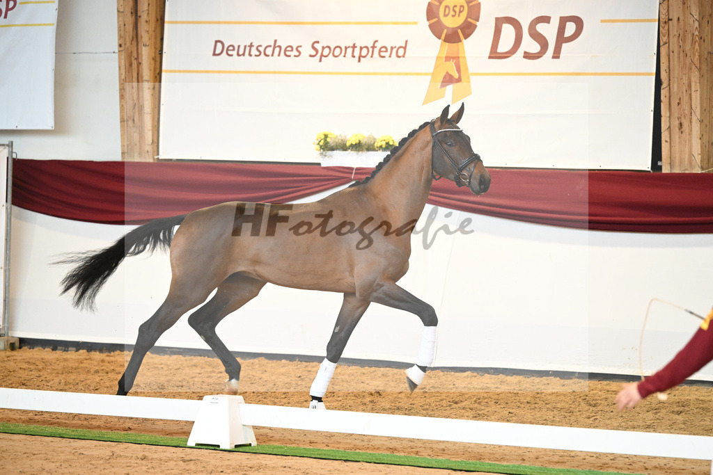 Kat-Nr. 10 v. Bonds_Klenk u Schneider-Gaertner_66221729 | hf-fotografie - Realisiert mit Pictrs.com