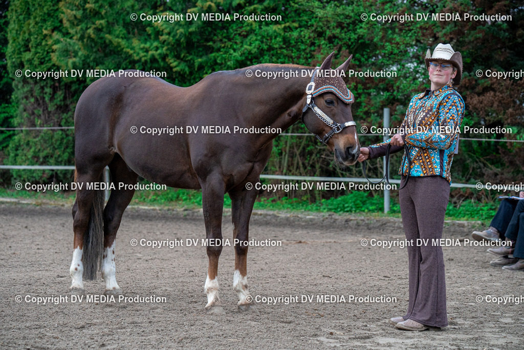 BA300035 | dv-media-shop - Realisiert mit Pictrs.com