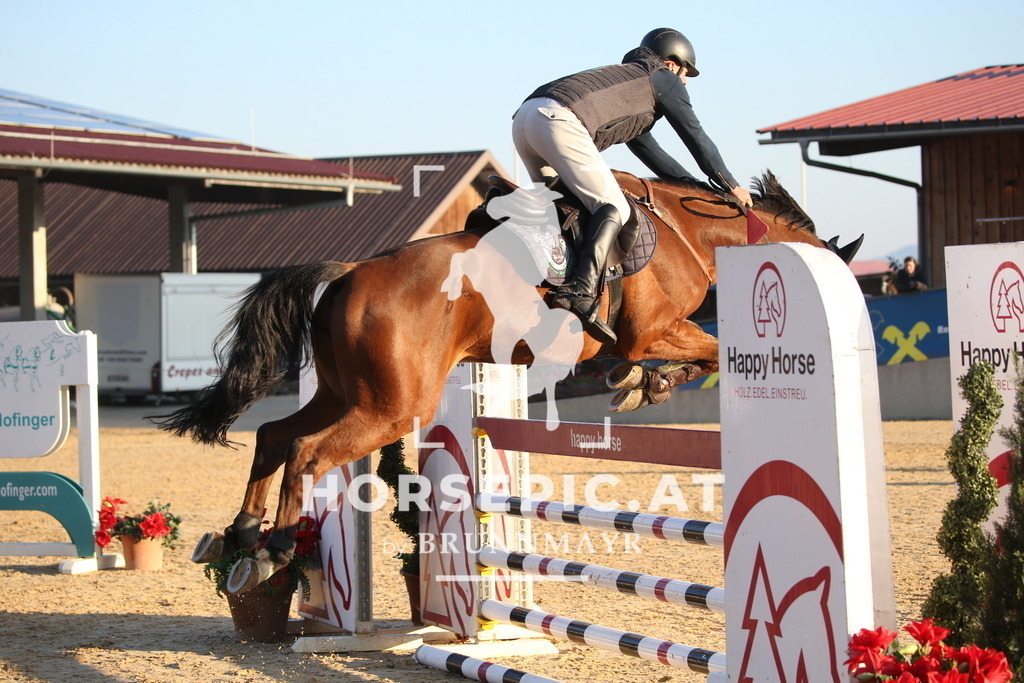 DL2Q0398 | Willkommen bei Brunnmayr - Design & Fotografie – Ihrem Spezialisten für Reitturniere und Pferdeveranstaltungen in Oberösterreich, Salzburg und Bayern! Seit über 17 Jahren sind wir leidenschaftlich dabei.