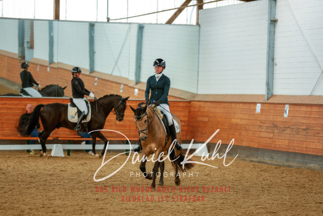 _62_6239 | Turniersportfotografie; Pferdefotografie; Dressurfotografie