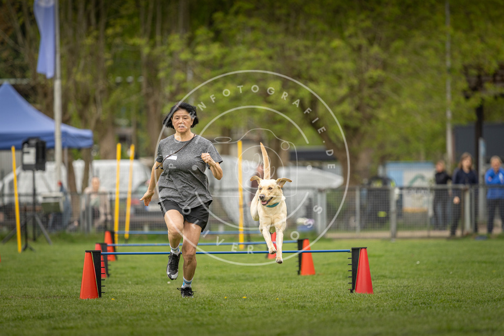 Pfotenfotografie_DV3A8618 | Hundefotografie, Tierfotograf, Pfotenfotografie, Fotoshooting Hund, Hunde Portrait, Hundesport, Hundeportraits, Heideshooting, Hunde, Sportfotograf, Hundefotograf, Turnierhundsport, THS,  - Realisiert mit Pictrs.com