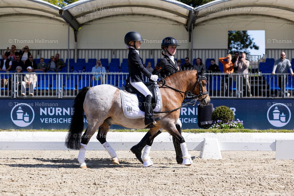 TH_894 Stella Kneese_ Prinz_36677 | Horses &amp; Dreams 2026 am 26.04.26 in Hagen a.T.W., Thomas Hellmann, 894 Stella Kneese, Prinz