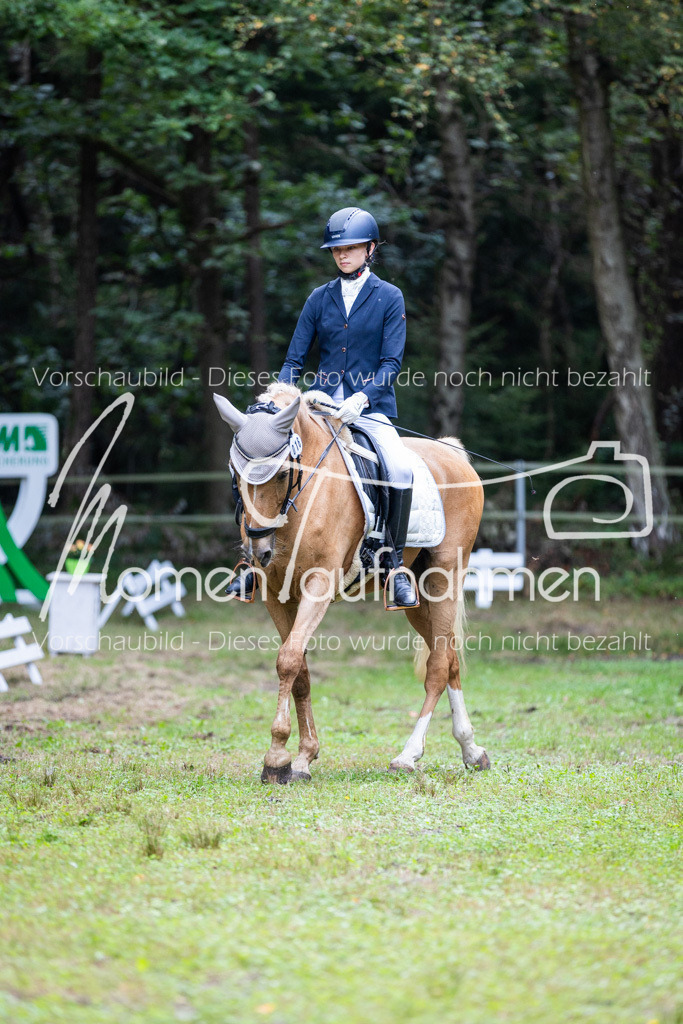HB-A-Dressur-016 | MomenTaufnahmen Pferdesportfotos