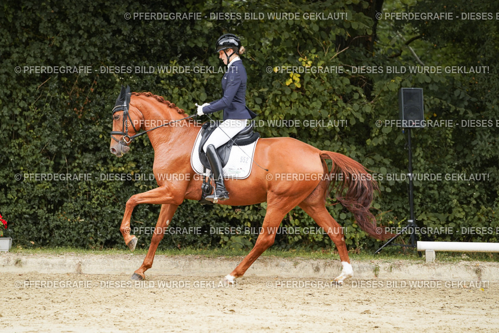 DSC00053 | Pferdegrafie