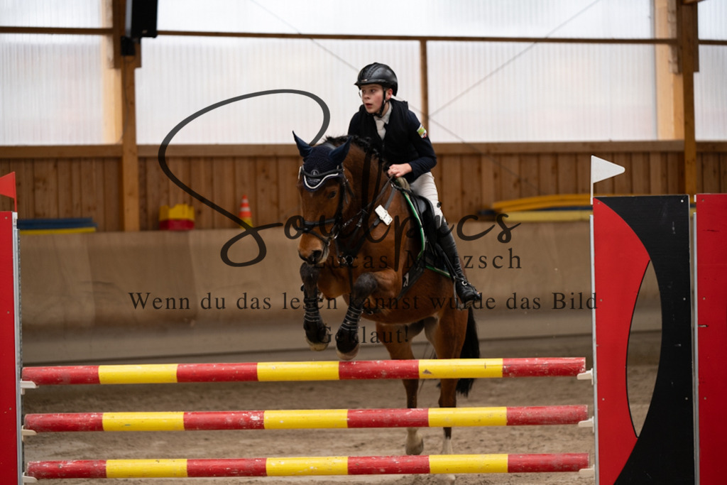 A7V00673 | Pferdefotograf