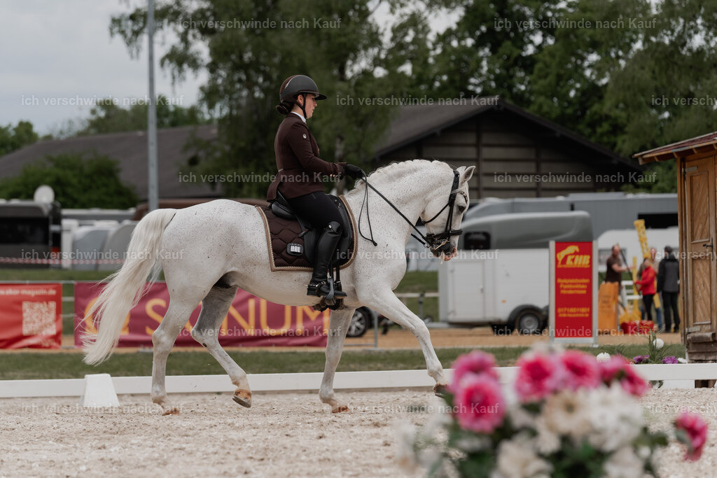 WE_DR_Stoib_318_PI2025_480 | Pferd International München 2025