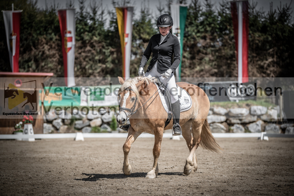 DSC_0707 | equestrian-live-com