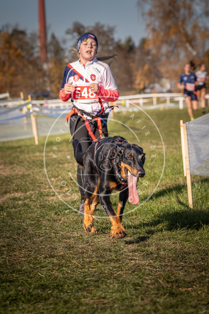 CaniXpix_0L8A7685 | Hundefotografie, Tierfotograf, Pfotenfotografie, Fotoshooting Hund, Hunde Portrait, Hundesport, Hundeportraits, Heideshooting, Hunde, Sportfotograf, Hundefotograf, Turnierhundsport, THS,  - Realisiert mit Pictrs.com