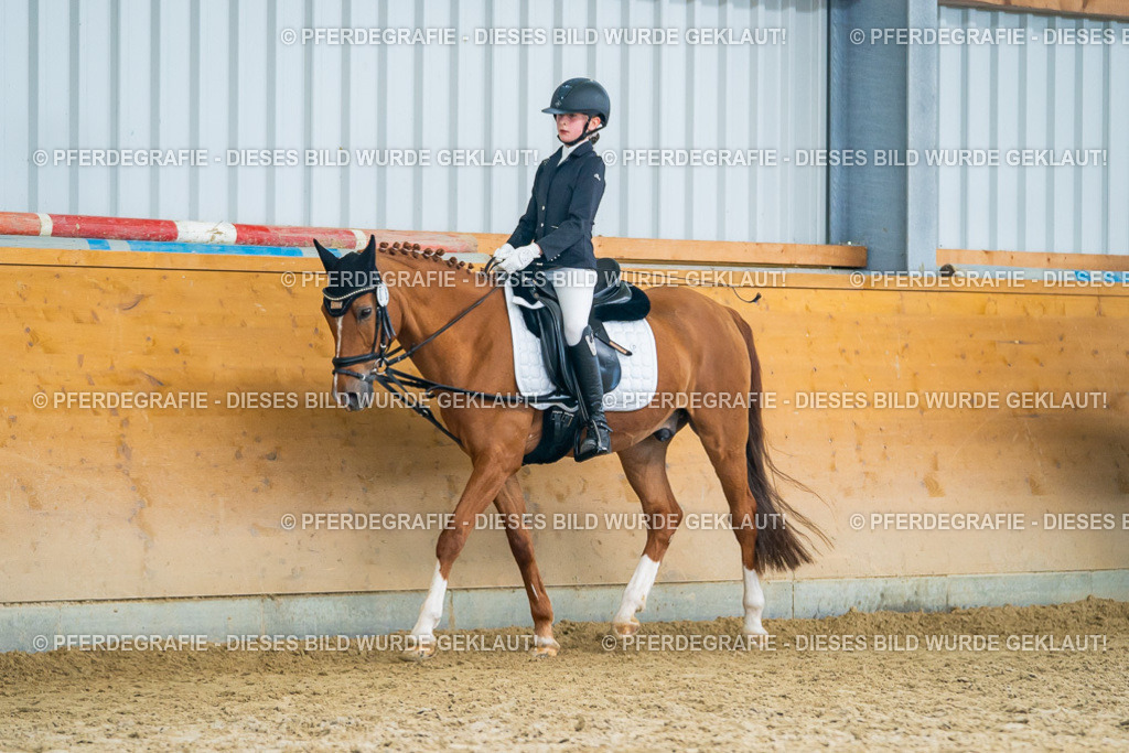 DSC01412 | Pferdegrafie