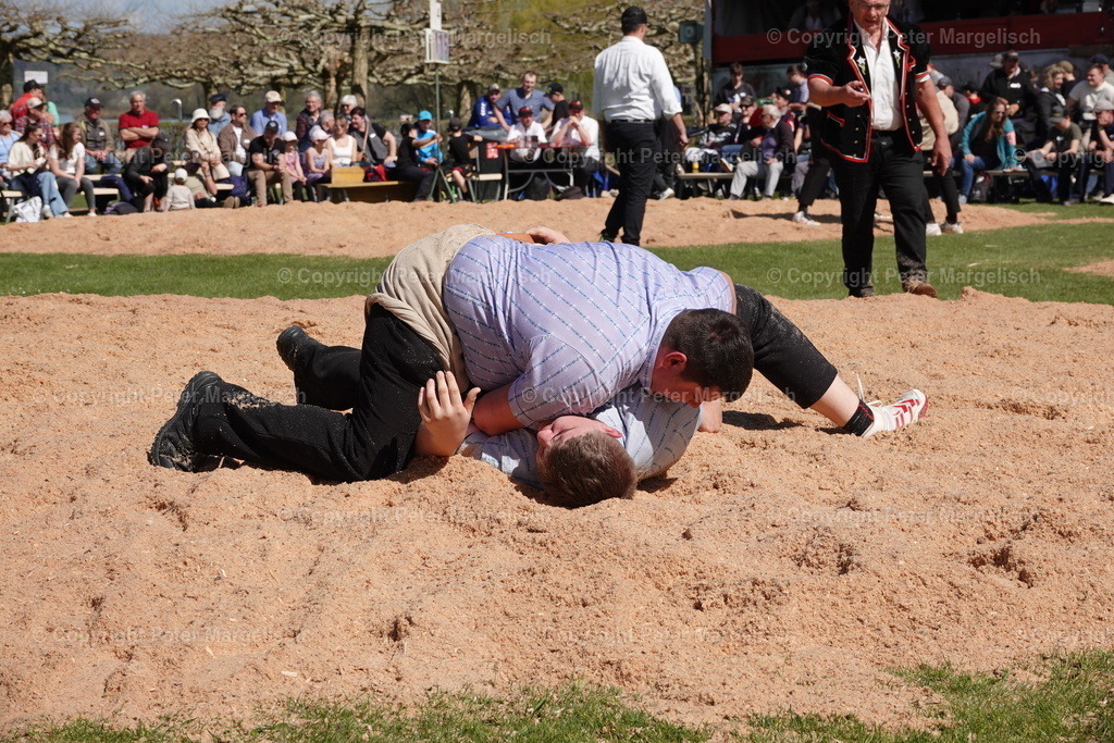 DSC02299 | Schwingen - Realisiert mit Pictrs.com