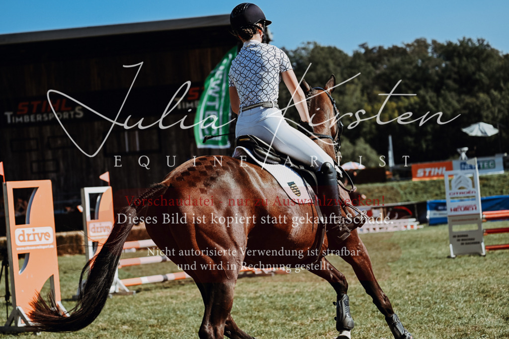 DSC_6758 | Pferde- und Turnierfotografie in Westsachsen. Pferdeportraits, Auftragszeichnungen und intuitive Kunst.
