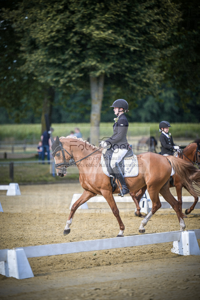 DOS_0154 | Entdecke hochwertige Reitturnierfotos von Foto Oger. Professionell, emotional und authentisch – jetzt Lieblingsmomente im Shop bestellen.Deutschlandweite Turnierfotografie. - Realisiert mit Pictrs.com
