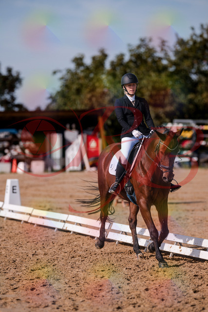 2026_10_03_Siefer-Hof_130744_Z81_58638004 | Professionelle Reitsport-, Turnier- und Eventfotografie von Robert Broda. Galerien mit ausgewählten und bearbeiteten Bildern direkt online ansehen und bestellen.